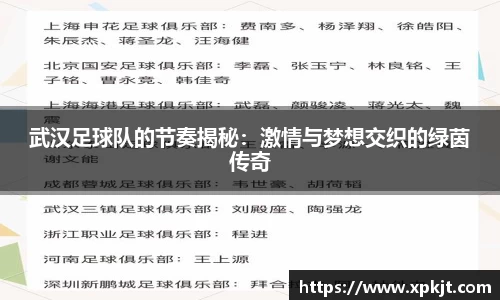 武汉足球队的节奏揭秘：激情与梦想交织的绿茵传奇